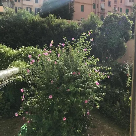 Cris - Close To Vatican - Centre&stadiumarea Appartement Rome